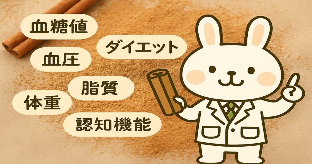 背景にベージュ色を使用し、白衣姿のみどりんがシナモンスティックを手に6つの健康効果（血糖値、血圧、脂質、ダイエット、認知機能、抗酸化）を解説している図解イラスト。